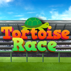 Tortoise Race